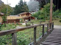 �݂苴��n���Ă����ƁA����Ɂy�̂߂������z�̌����������Ă���B���ԏꂩ�炱���܂ł͓k���ł��������Ȃ�