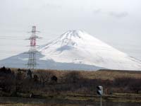 ��a��̃R���r�j����]�ޕx�m�R�B��N11���x�̕x�m�R�Ɣ�ׂ�ƍ���`���Y��ł͂Ȃ��B��O�Ɍ����Ă���S�����d�����}�C�i�X�|�C���g