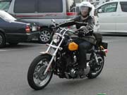 �j�ꎁ������