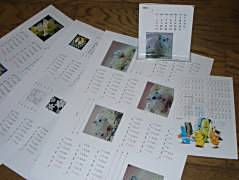 �J�����_�[