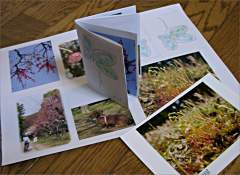 �~�j�m�[�g