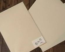 �a�����̎q