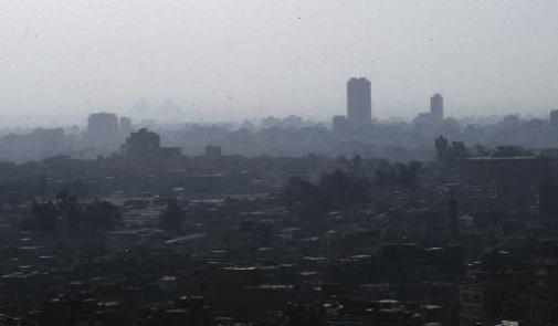 �J�C���s�X