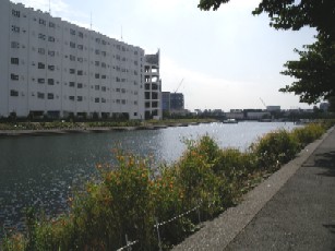勝島運河