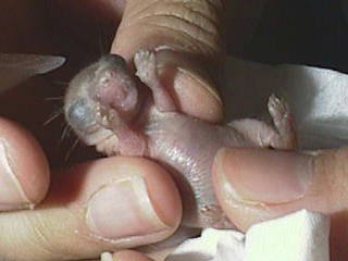 ���q�l�B73