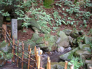 �����N��