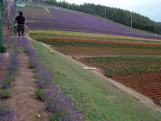 ���c���x���_�[���̃��t�g�̏ォ��