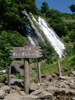 �I�V���R�V���̑�