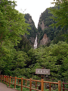 �����̑�