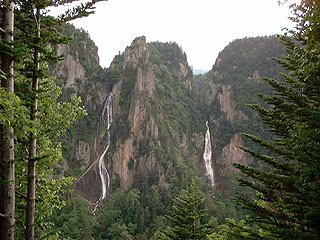 �o�e�䂩��̒��߁B�E�������̑�ō�����͂̑�B