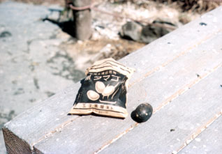 �����܂��i�B�e�F�ۂ��j