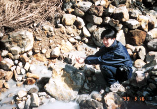 �������艷��