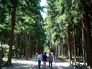 ���ގ��̕��؎Q��