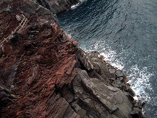 城ヶ崎・左上にいるのはぽい