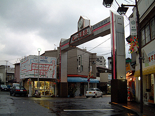 �ԑ�w�O�E�ό�����