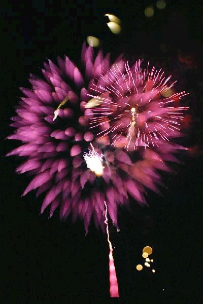 hanabi02 400*600