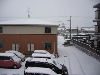 引越しから１週間、２月８日は朝から雪でした