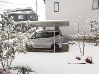 ２月５日の朝（１０センチほどの積雪となりました）