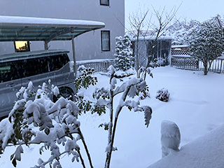 １日目の朝（今シーズン初の本格的な雪です）