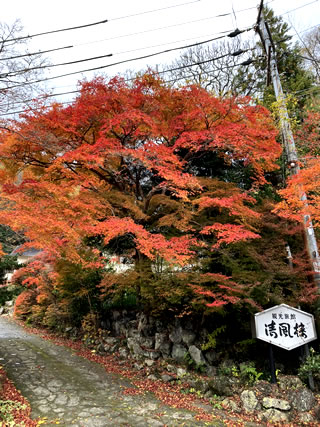 観光旅館「清風楼」入口