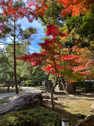 慶雲館は紅葉が見頃でした