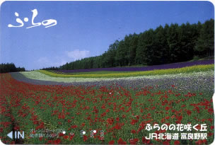 ふらのの花咲く丘（JR北海道）