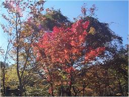 3065-03.jpg (17323 �o�C�g)