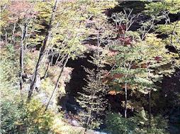 3065-04.jpg (21788 �o�C�g)