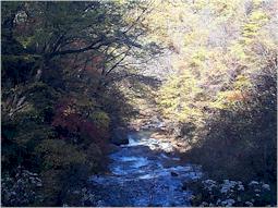 3066-03.jpg (15330 �o�C�g)