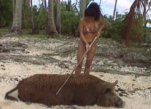 �J���C�Ƃ�����܂����`�H