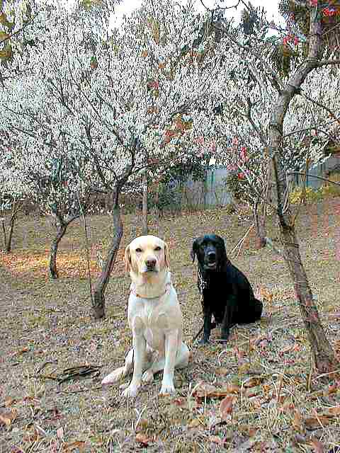 �~�����J