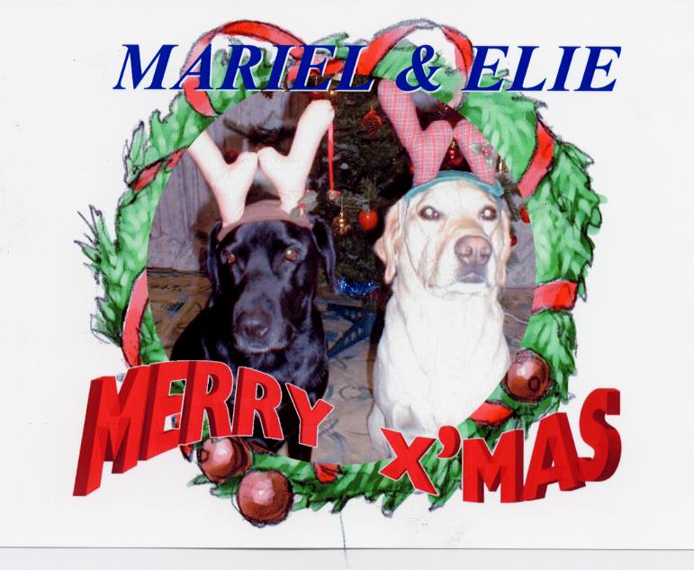 GREETINGCARD OF MARI & ELIE