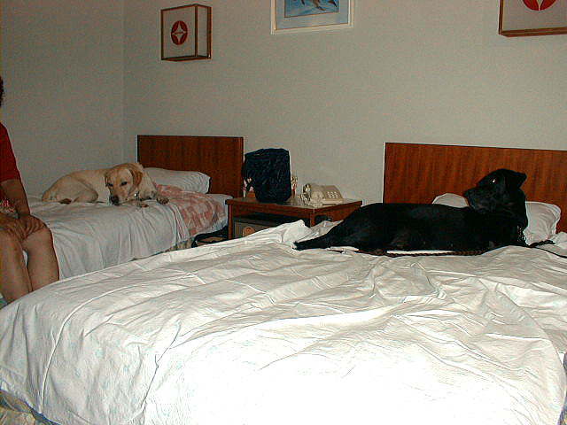 �z�e������