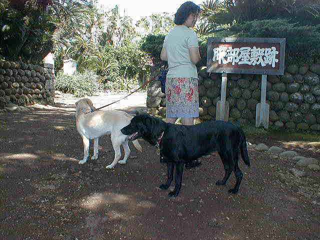 �������~�ł�