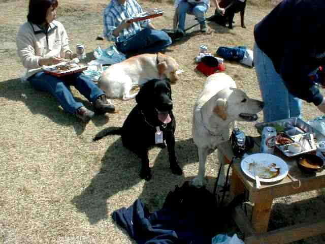 私たちもほしいよ