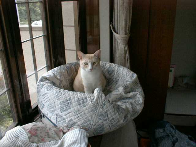 ���݂�̂�����