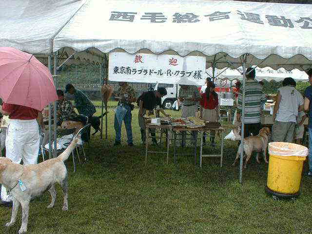 ��ꃁ�C���e�[�u��