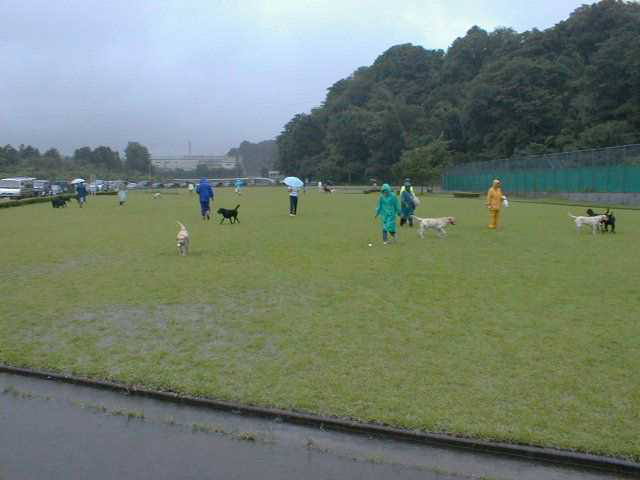 �L��ł�������