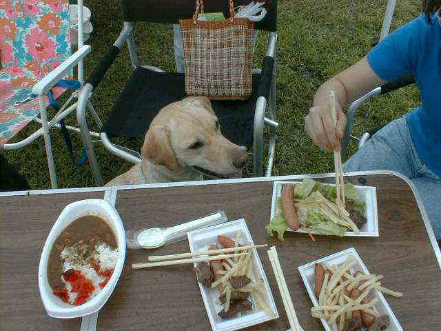 �G���[�̂��˂���