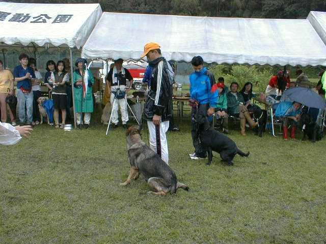 �a�g�̂��׋���