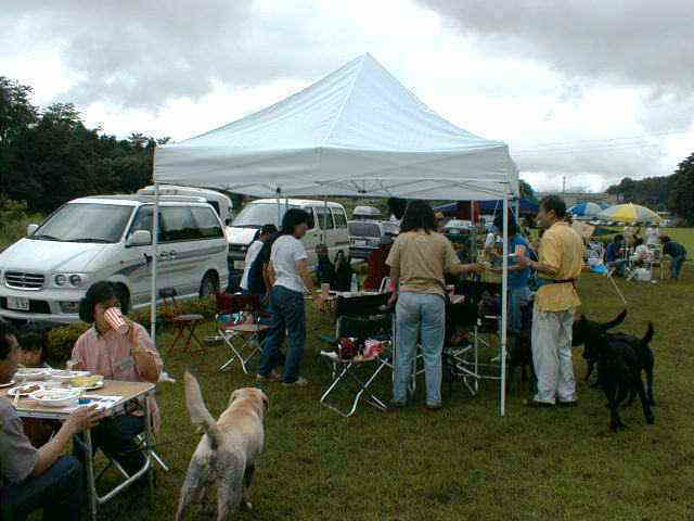 �J�̒��̃p�[�e�B