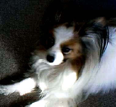 �R���������