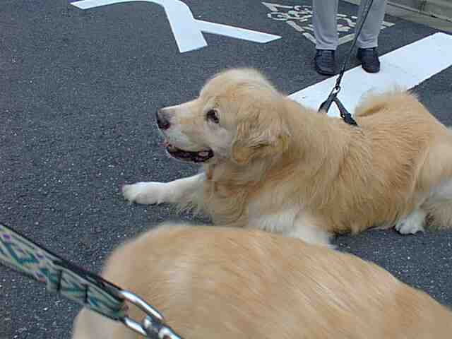 �|�R�����