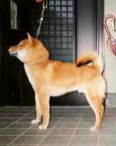 �V�o����̑S�g