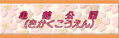 �T   ��   ��   �� �i��������������j