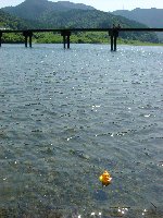 �l���\��ɐG�ꂽ���H