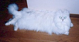 2001pel15.jpg (11208 �o�C�g)