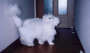 2001pel16.jpg (12973 �o�C�g)