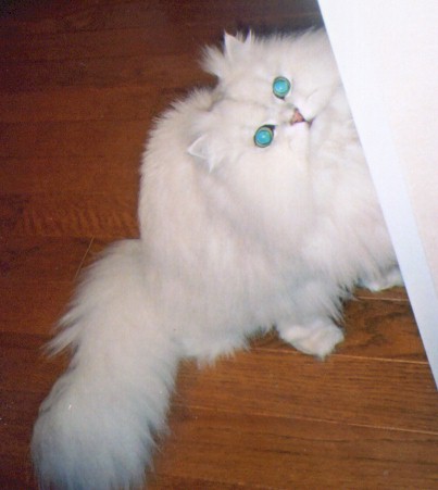 20023-2.jpg (35375 �o�C�g)