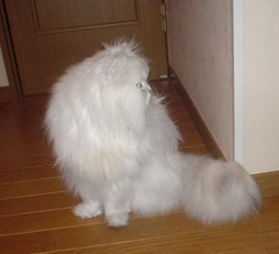 DSC00494.jpg (12485 �o�C�g)